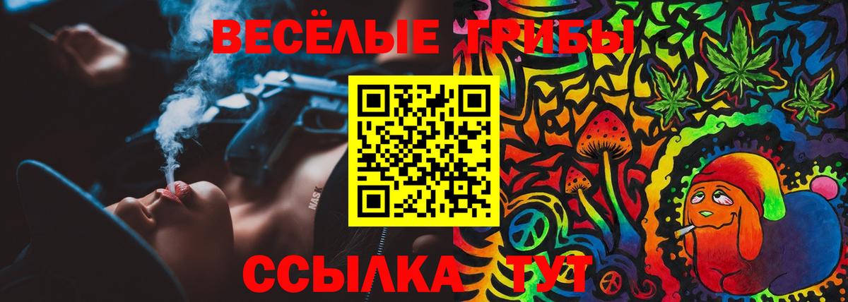 Псилоцибиновые грибы ЛСД Пенза