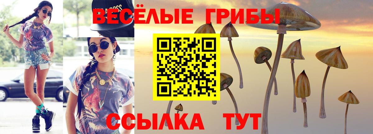 Псилоцибиновые грибы GOLDEN TEACHER  Вход с VPN  Пенза 